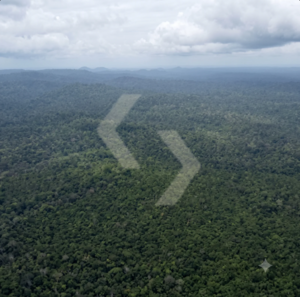 Fazenda a venda em Almeirim PA