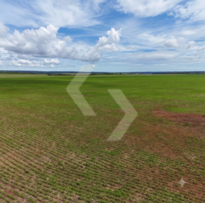 Fazenda a venda em Barra do Garças MT