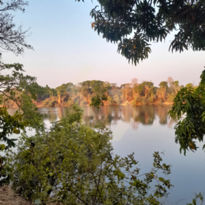 Fazenda a venda em Cocalinho MT