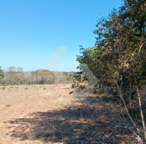 Fazenda a venda em Guiratinga MT