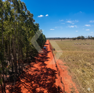 Fazenda a venda em Juti MS