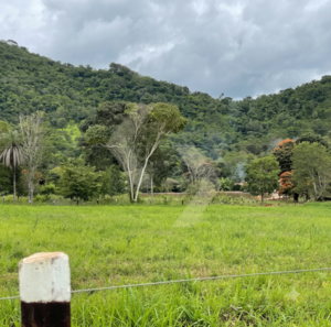 Fazenda a venda em Pirenópolis GO