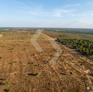 Fazenda a venda em Vila Rica MT