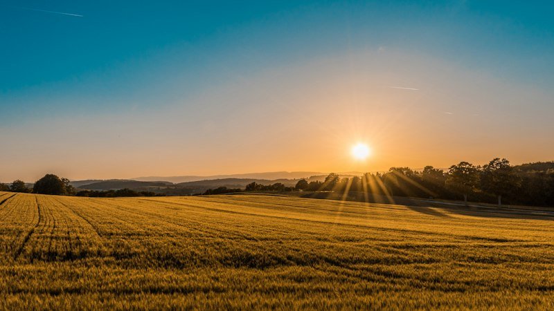 Fazenda 2.450 Hectares Pronta para Soja e Milho Safrinha
