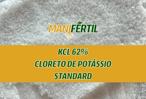 KCL 62% — CLORETO DE POTÁSSIO STANDARD