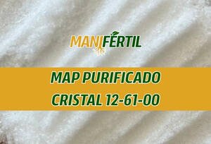 MAP PURIFICADO CRISTAL 12-61-00