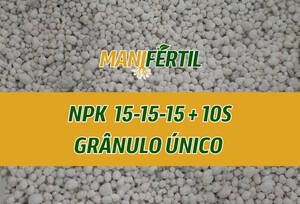 NPK 15-15-15 10 S NPK Granulo Único